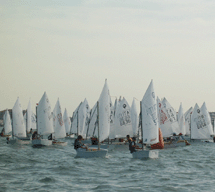 Optimist e Tecno 293
nelle acque di Cervia
